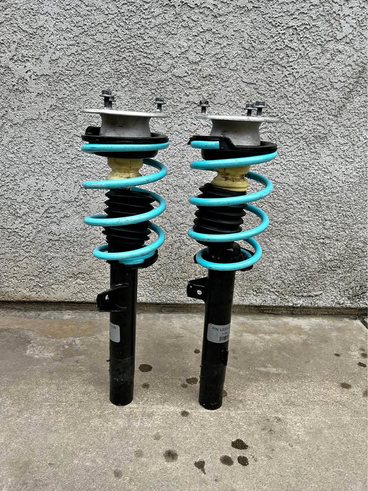 BMW Struts with Lowering Springs