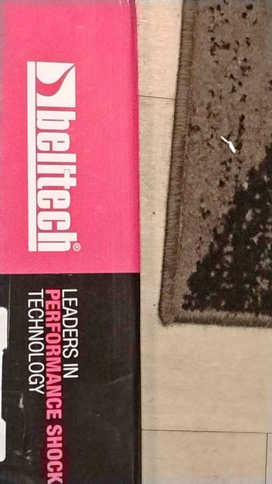 Belltech performance shocks
