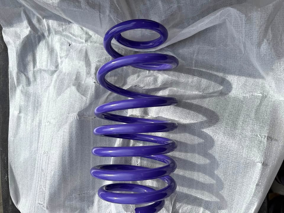 D2 Racing Pro Lowering Springs (2-inch)