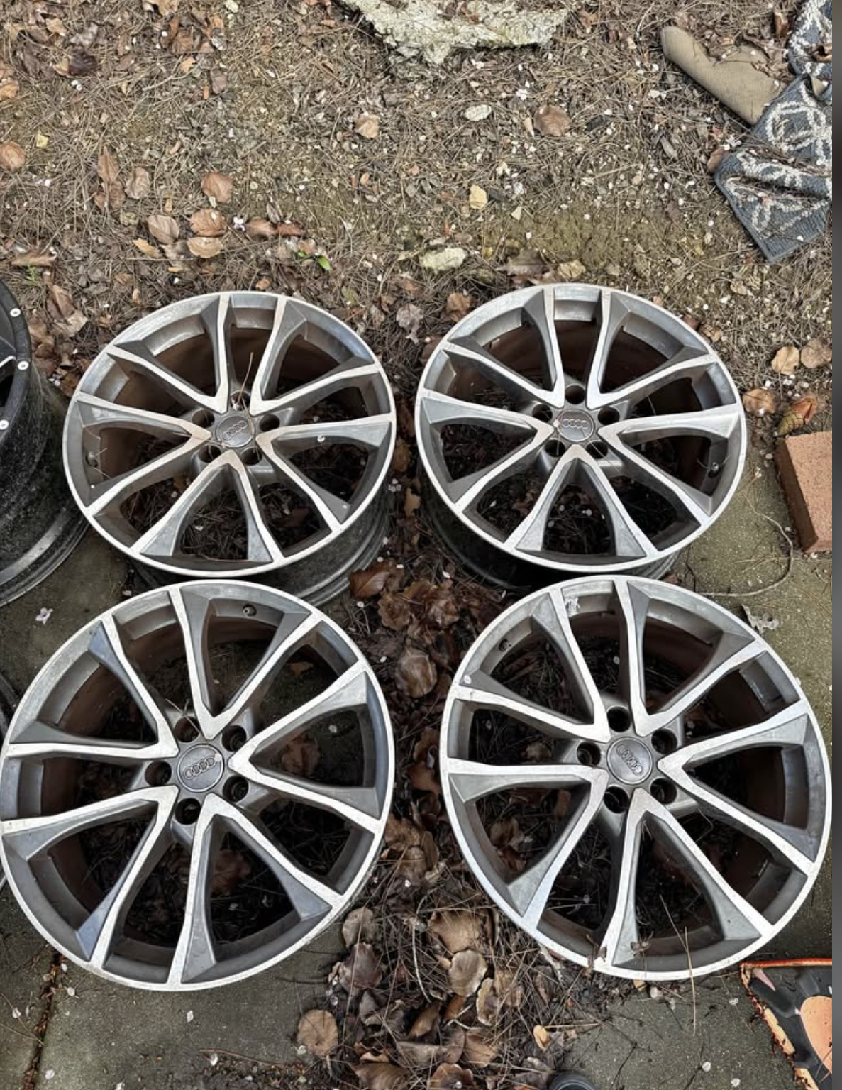 Audi Rims