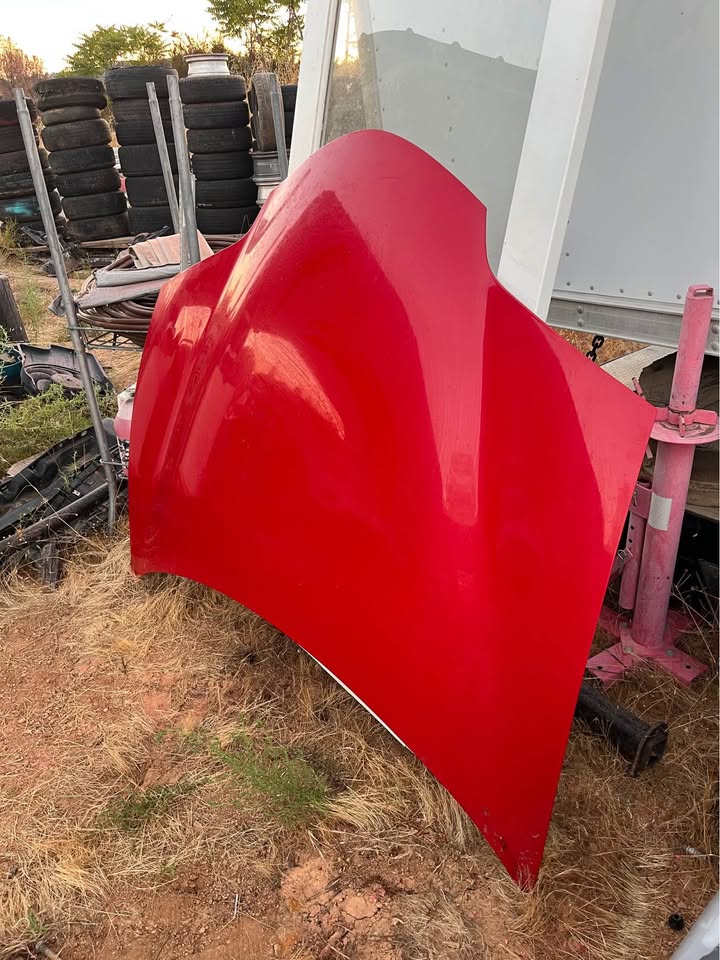 Trans-Am hood